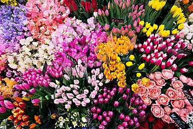 《生化危机4：VR》佣兵模式更新已上线 开心爽玩